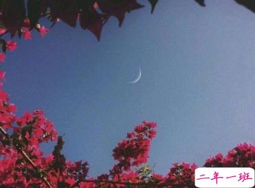 极度伤感颓废的说说 最近很颓废的句子1