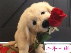 2021元旦第一天早安心语 迎接2021第一天的早安说说