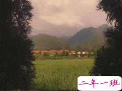 微博伤感文字合集 微博上的伤感爱情短句