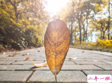 假装坚强的伤感难过说说 一边受伤一边学着坚强1