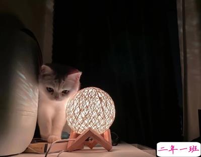 伤感简短的微信状态句子 心酸难过的微信状态文案1