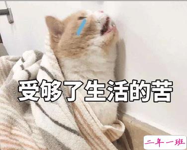 生活不易的说说心情句子2021 对生活的无奈和艰辛的感叹句子2