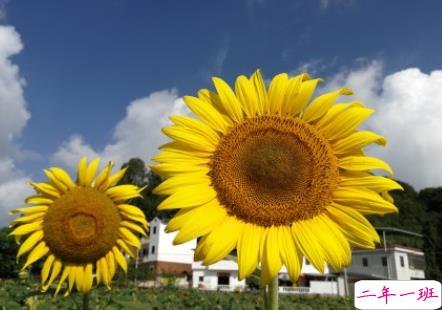 适合12月发的一些高情商短句 2020最后一个月发的的说说1