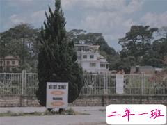 心凉离开的心情说说 内心疼痛无比的说说