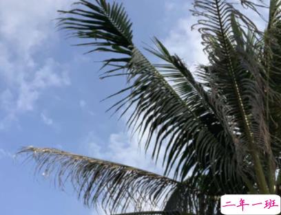 2020最火的伤感句子 写到心坎里的伤感说说1