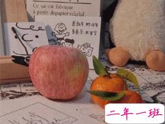 关于热爱生活的日常朋友圈文案 很阳光热爱生活的日常文案