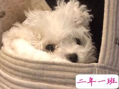 2020冬天天气变冷的很有梗的搞笑说说  我遇见你枯木逢春