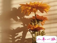 一个人的七夕说说寂寞伤感 单身专属七夕说说2019