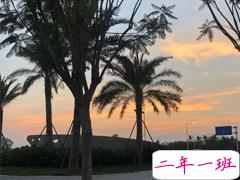 感恩2020年的朋友圈说说 告别2020迎接2021的句子