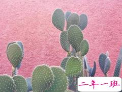 心累的说说伤感绝望 心累到一定程度的说说