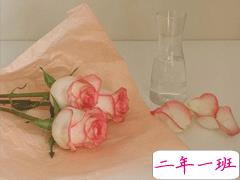 冬至微信群给长辈的祝福语 冬至对长辈最暖心的祝福语