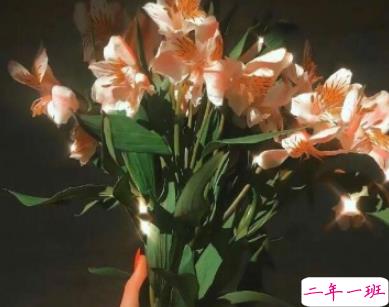 女生撕心裂肺得伤感说说 痛到骨子的心碎说说2