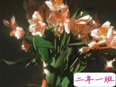 女生撕心裂肺得伤感说说 痛到骨子的心碎说说