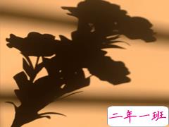 2021朋友圈很丧很绝望的温柔文案 所有的情绪我一样也没躲过