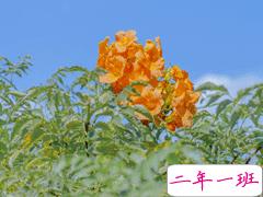 适合十一月发朋友圈的心情文案 十一月都要过的足够好