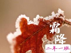 2020霜降早安祝福语 霜降已来临寒冷问候您