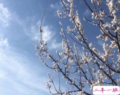 2019高考没考好想哭的说说 高考成绩考砸心情不好的句子1