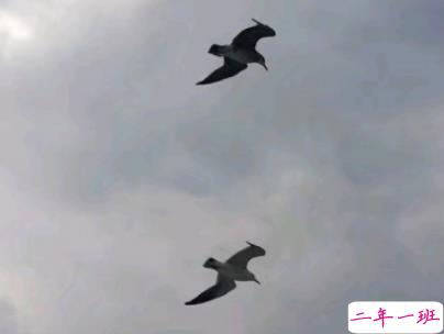 2019高考没考好想哭的说说 高考成绩考砸心情不好的句子2