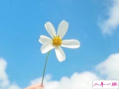 为爱哭泣的伤感说说 非常非常伤感的说说大全1