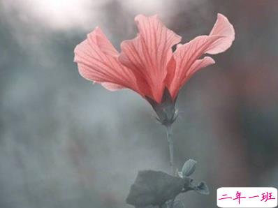 为爱哭泣的伤感说说 非常非常伤感的说说大全2