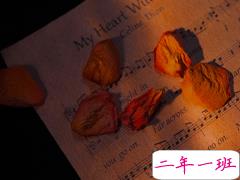 心情低落朋友圈文案 空间走心的句子