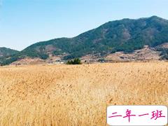 心情很差不想说话的说说 不心烦意乱不想说话说说精选