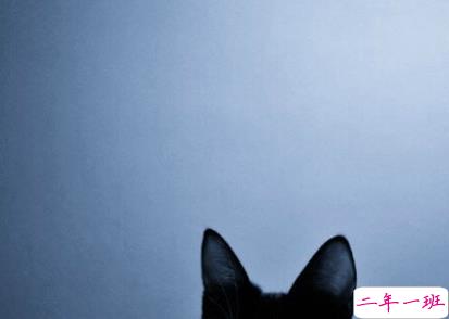 单身男求带走的说说 单身一个人的说说男生专属1