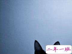 单身男求带走的说说 单身一个人的说说男生专属