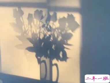 赏月时可以发朋友圈的说说 一轮明月思悠悠2