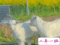 放在心头的个性心情说话 心一旦离开就再不会回来