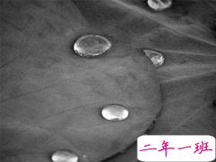 心疼自己一秒钟的说说 扎心了受伤了的说说