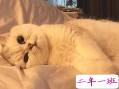 一个人的时候心情说说 难过就是虽然很难但总会过去