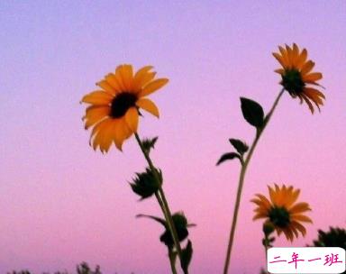 好天气好风景好心情说说  快乐发圈秒赞文案1