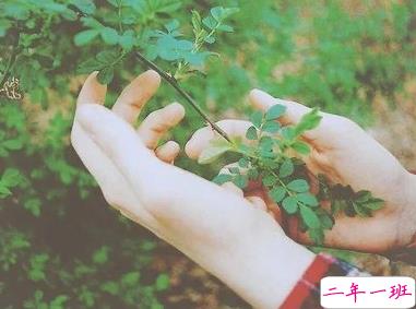 心累到极致的说说 身心疲惫快要疯了的说说1