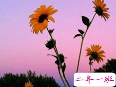 好天气好风景好心情说说  快乐发圈秒赞文案