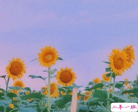 2020九月开学心情说说发朋友圈 正在单曲循环播放开学了1