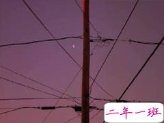 被抛弃的说说心痛难过 付出真心被抛弃说说