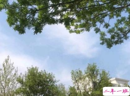 最新情侣分手后的悲伤说说 一切都结束了说说很心痛1