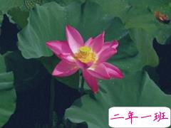 2020处暑节气说说精选 处暑节气关心问候祝福语