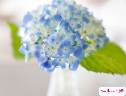 下雨天说说伤感迷茫句子 哀伤就像一阵又一阵的雷雨1