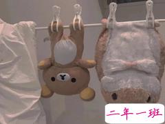 对人际交往的感悟说说 圈子不同不必强融