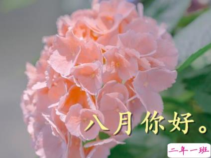 2020八月你好发朋友圈心情说说 所有七月里的不安与不快都要忘掉1