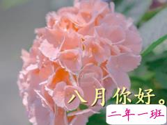 2020八月你好发朋友圈心情说说 所有七月里的不安与不快都要忘掉