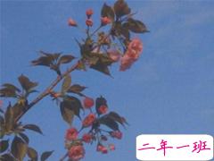 最受欢迎的00后伤感说说大全 qq伤感说说爱情句子