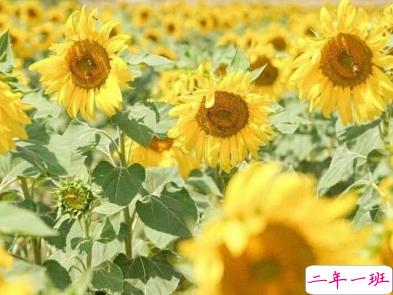 女生元气满满的心情短语 朋友圈元气说说大全1