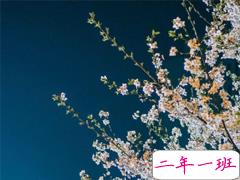 关于爱情很忧伤的心情短语 朋友圈的忧伤难过说说