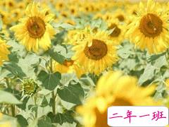 女生元气满满的心情短语 朋友圈元气说说大全