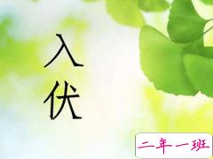 今日入伏心情说说2020 三伏天说说大全唯美好听