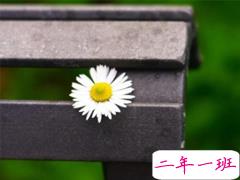 睡不着的伤感晚安说说 晚上容易想太多的伤感句子