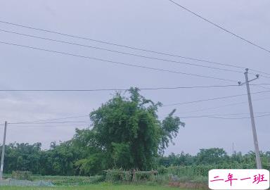 生活碎片小短句文艺 生活碎片朋友圈文案2